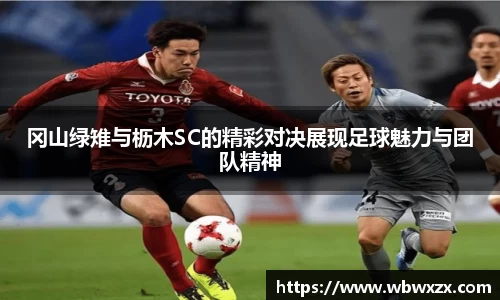 冈山绿雉与枥木SC的精彩对决展现足球魅力与团队精神